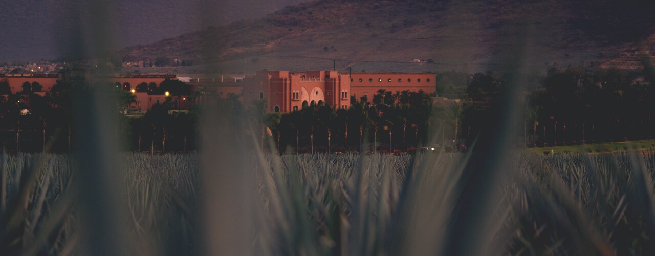 ¿ERES PARTE DE LA FAMILIA PATRÓN?