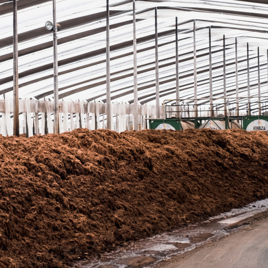 From soil management and conservation to promoting the farmers' safety and wellbeing, PATRÓN is committed to playing our part to help protect agave.