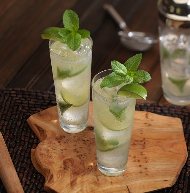 Patrón Mojito
