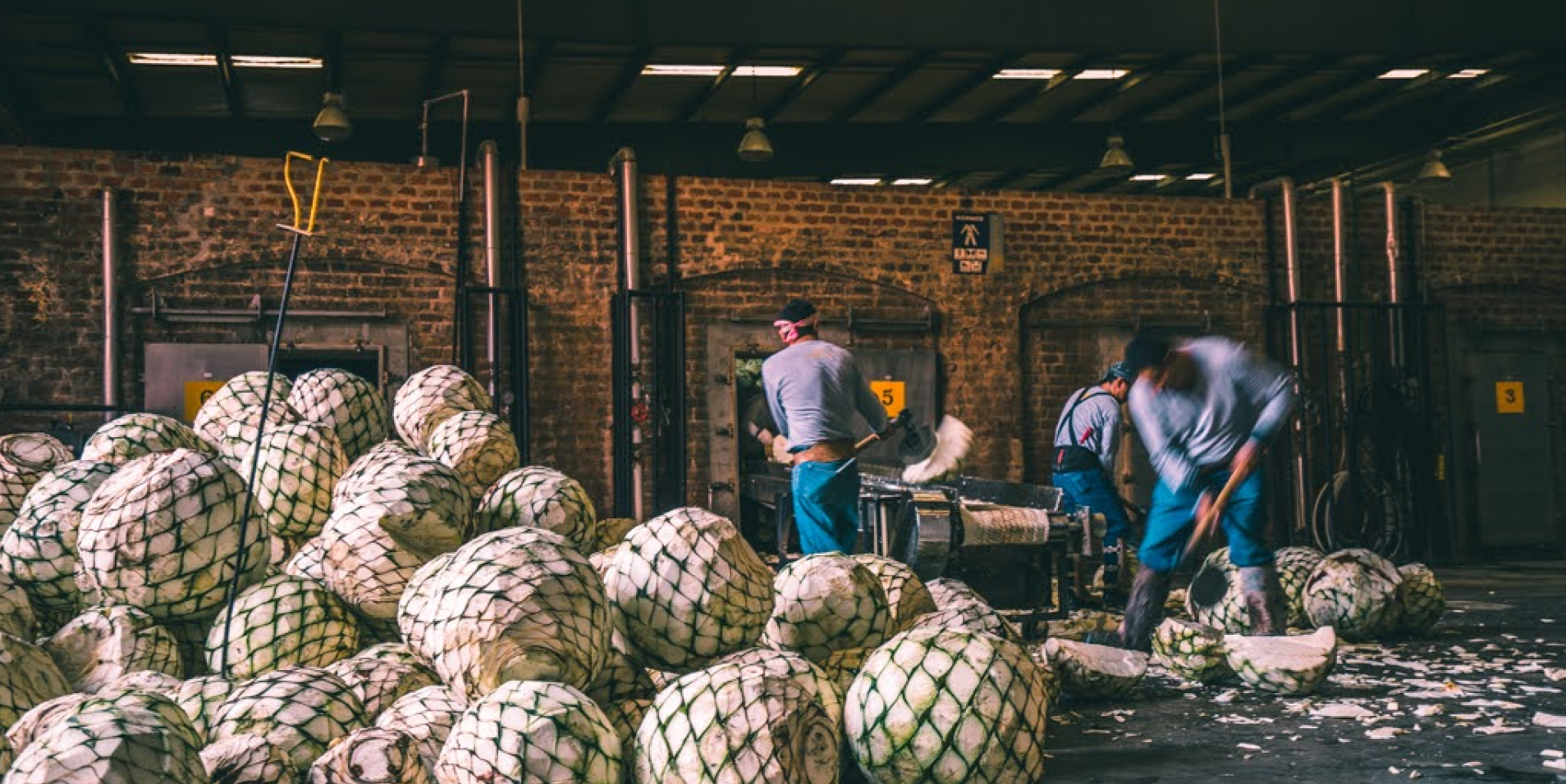 Is all tequila made from agave?