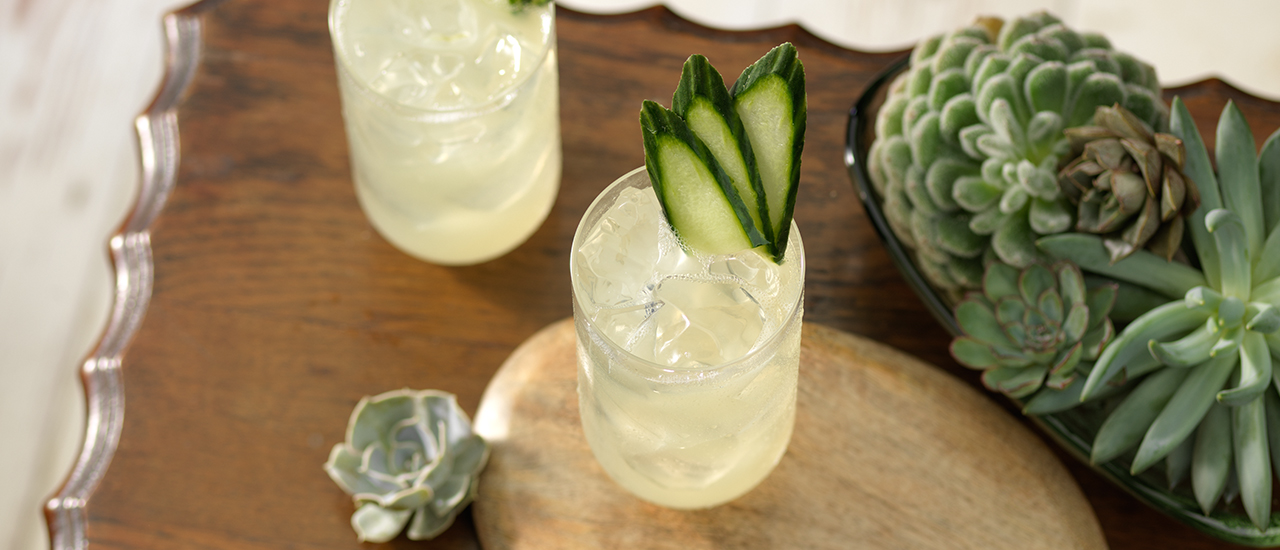 PATRÓN<sup>®</sup> Silver