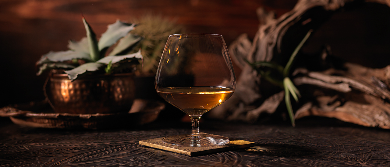 Patrón x Guillermo del Toro